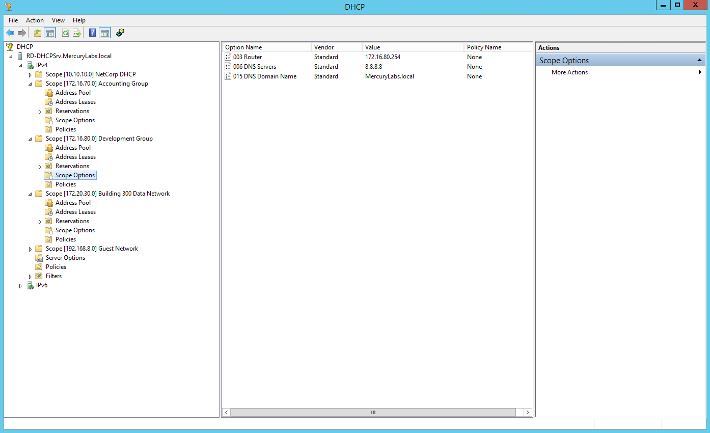 Create DHCP Scopes for VLAN100 and VLAN200 Groups