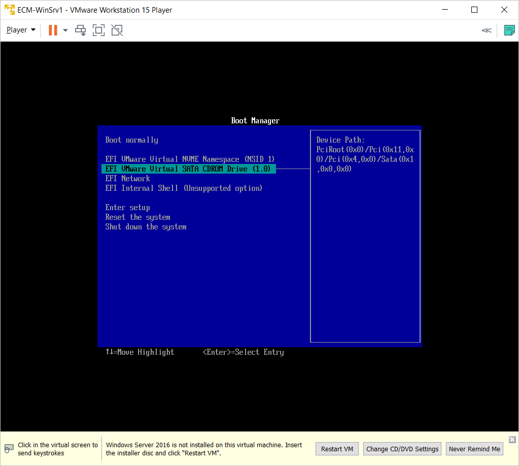 choose efi vmware sata cdrom drive option