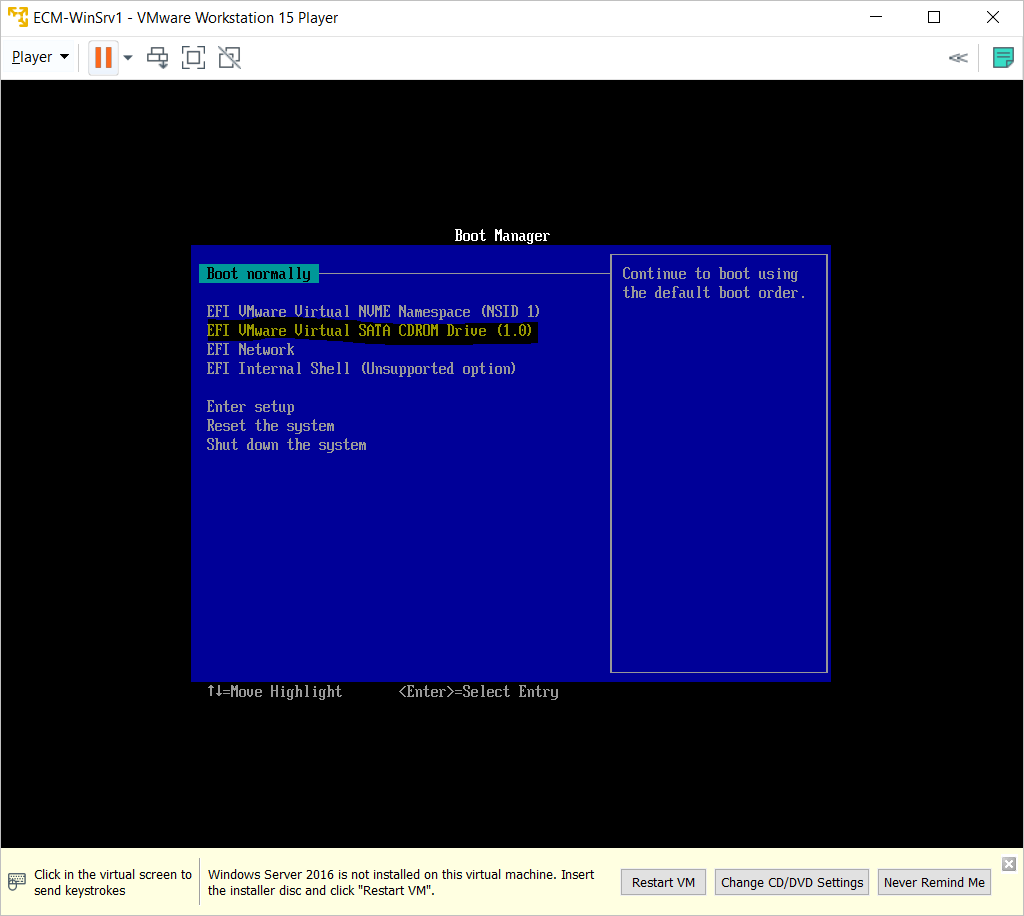 select efi vmware sata cdrom drive