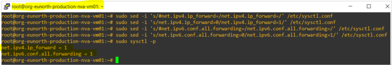 enable-ip-forawrding-on-ubuntu-virtual-machine-expert-network-consultant