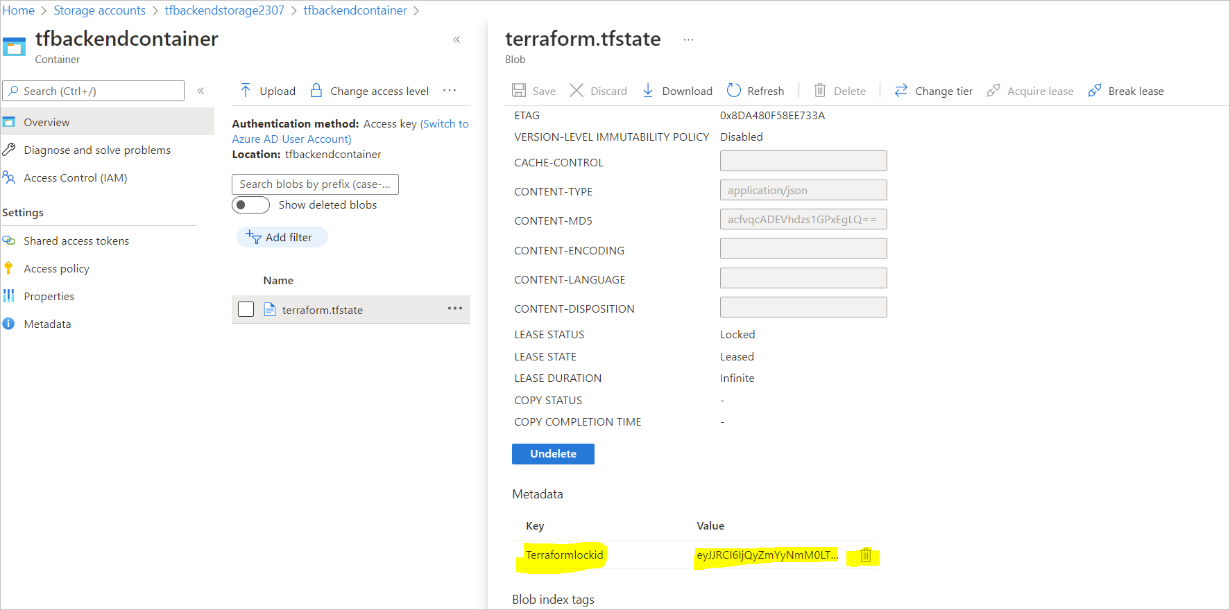 terraform-state-lock-on-azure-expert-network-consultant